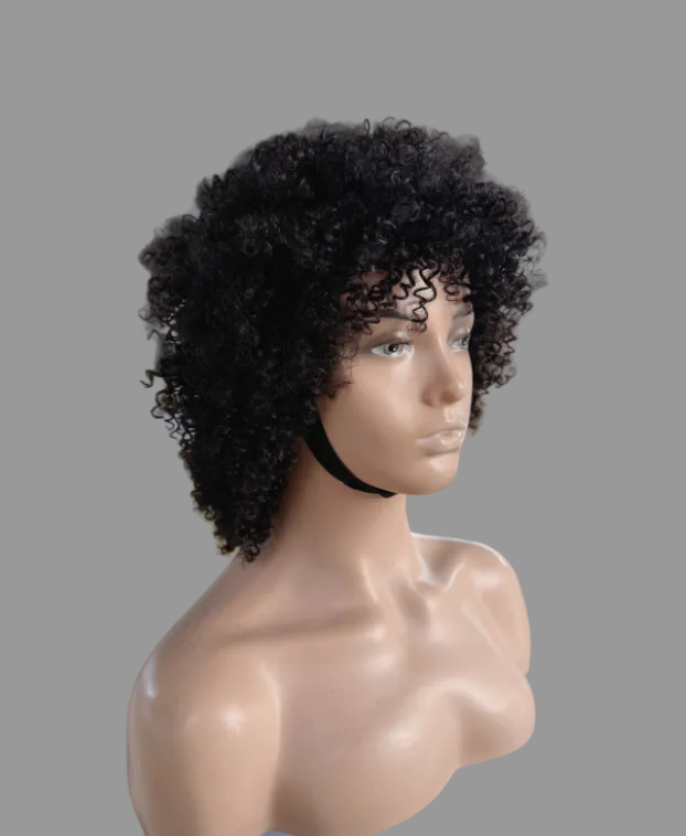 Short Tight Curly Human Hair Wig | Natural Black (JZ233)
