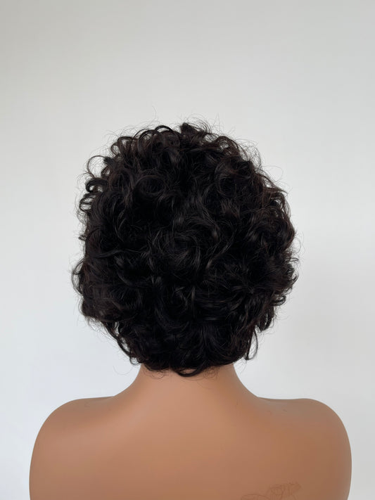 Short Curly Lace Front Wig | Natural Black (LS018)
