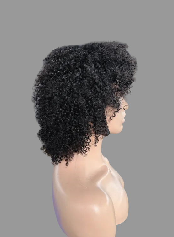 Short Tight Curly Human Hair Wig | Natural Black (JZ233)