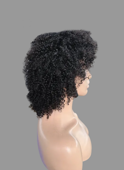 Short Tight Curly Human Hair Wig | Natural Black (JZ233)