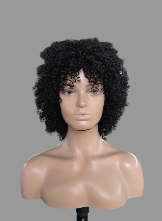 Short Tight Curly Human Hair Wig | Natural Black (JZ233)
